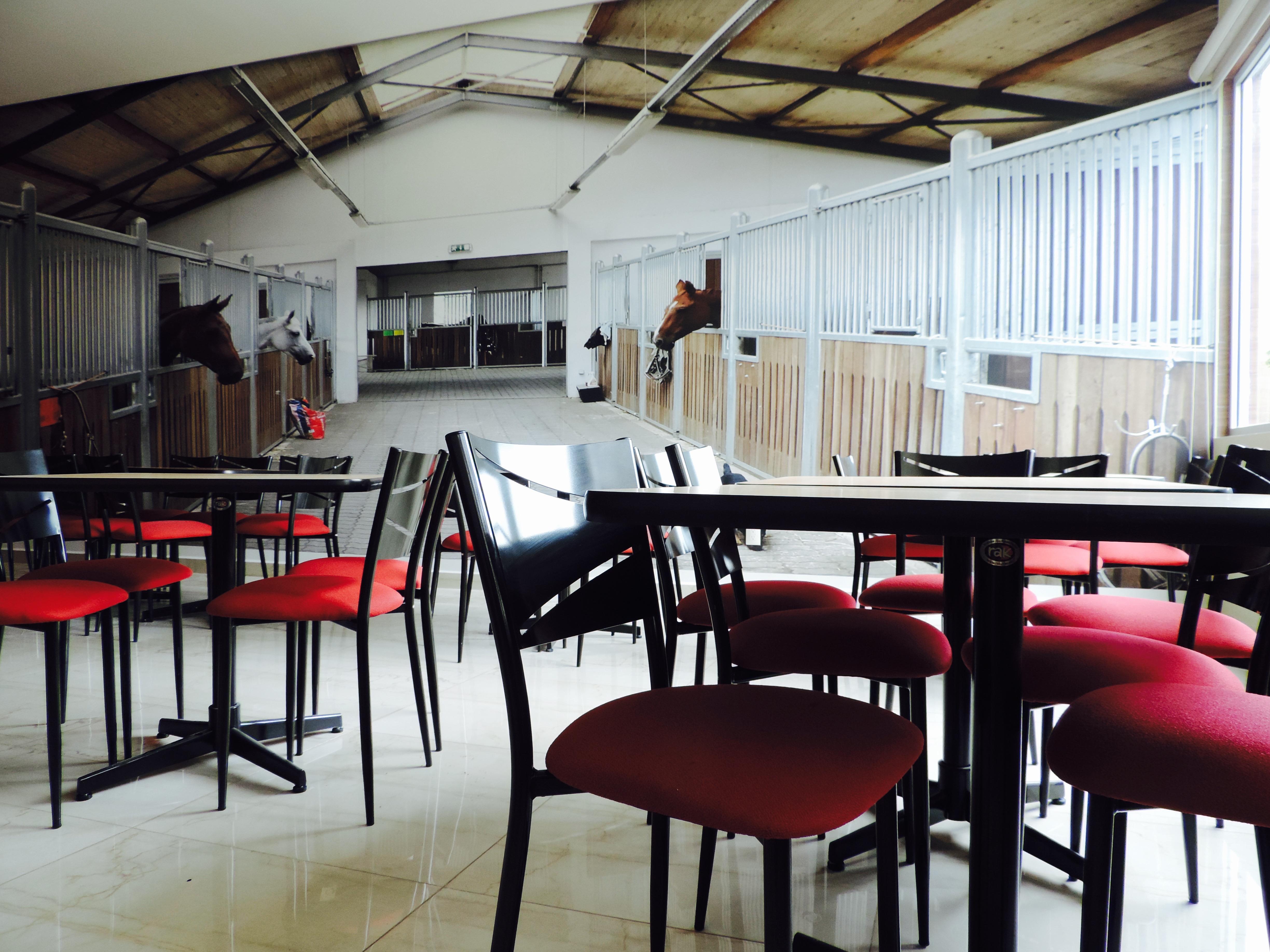 Hotel Xcoco Inn Texcoco de Mora Ngoại thất bức ảnh